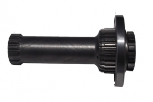 16 S 251 GARDAN MİLİ